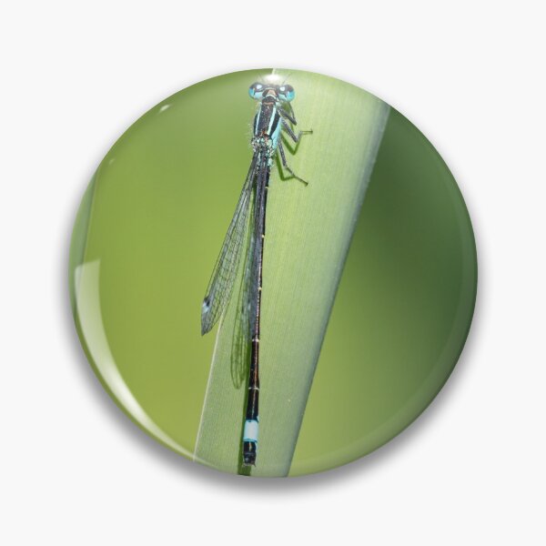 Item preview, Azure Damselfly Sitting on a Reed designed and sold by MargaretClavell.