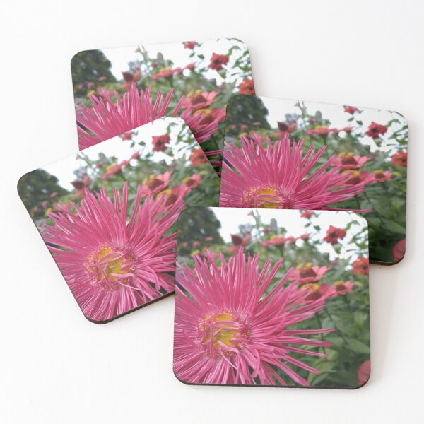 Item preview, Pink flowers in a Polish garden designed and sold by AmeliasArtistry.