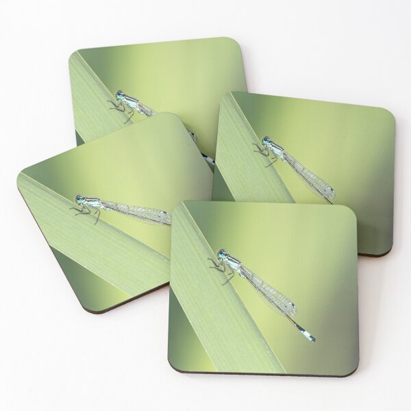 Item preview, Azure Damselfly Sitting on a Reed designed and sold by MargaretClavell.
