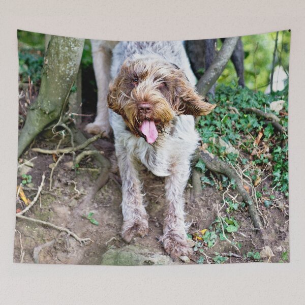 Item preview, Windy in the woods Spinone by heidiannemorris designed and sold by FOLK ART FUSION by heidiannemorris.