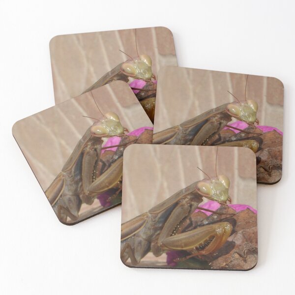 Item preview, Mantis Religiosa: La Mantis Religiosa designed and sold by taiche.