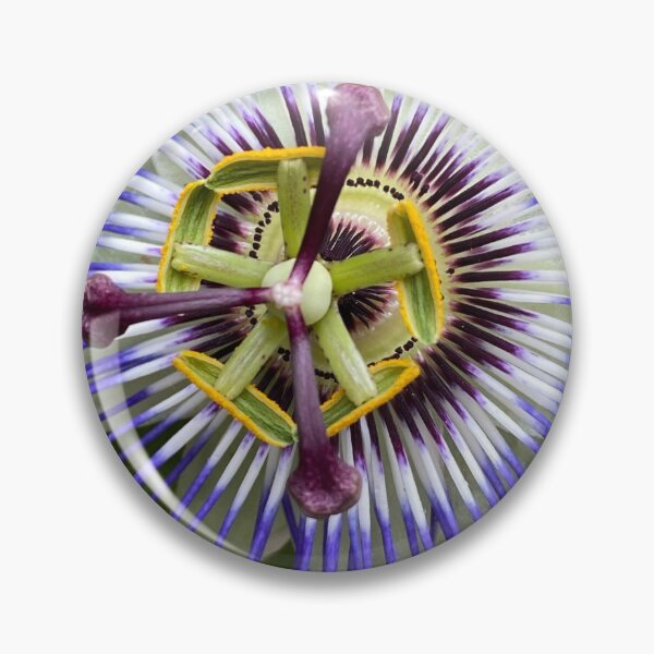 Artikelvorschau, Schönheit Passionsblume entworfen und verkauft von Whvdk.