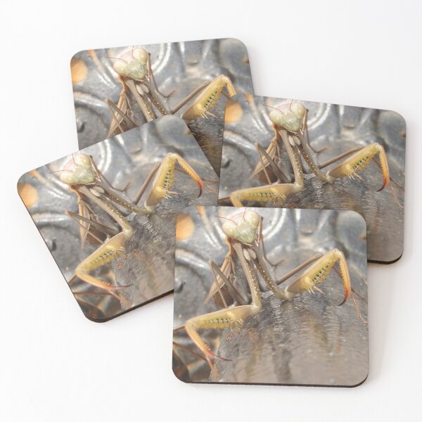 Item preview, Praying Mantis in Macro designed and sold by taiche.