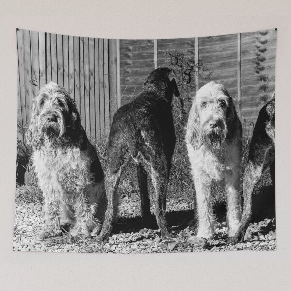 Item preview, The line up Spinone by heidiannemorris designed and sold by FOLK ART FUSION by heidiannemorris.