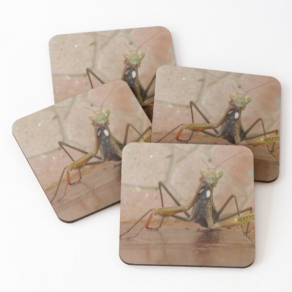 Item preview, Praying Mantis Making Eye Contact designed and sold by taiche.