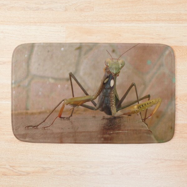 Item preview, Praying Mantis Making Eye Contact designed and sold by taiche.