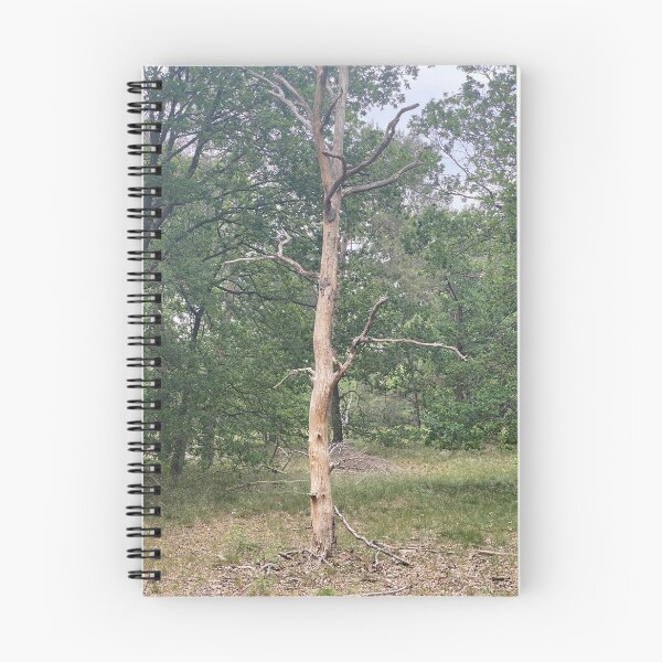 Item preview, Naked tree in the wood  designed and sold by Whvdk.