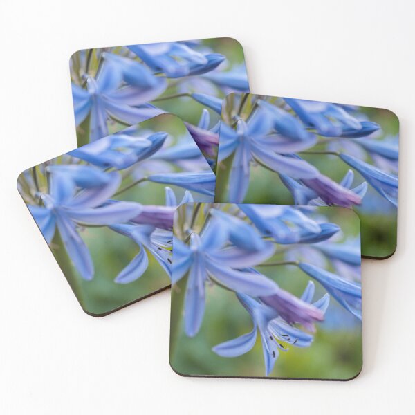 Item preview,  Agapanthus designed and sold by John Ray.