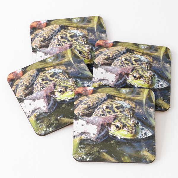 Item preview, Floating Frog designed and sold by CJGrimes.