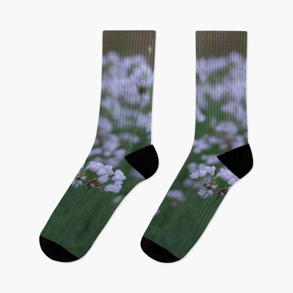 Artikelvorschau, Weiße Frühlingsblumen entworfen und verkauft von iCimages.net.