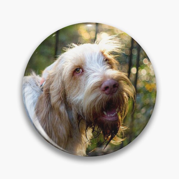 Artikelvorschau, Sonnenlicht auf Spinone entworfen und verkauft von FOLK ART FUSION.