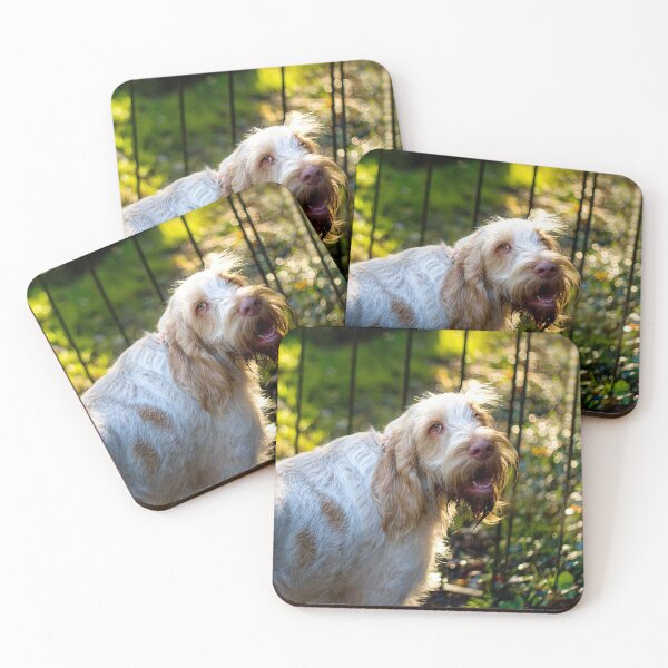 Artikelvorschau, Sonnenlicht auf Spinone entworfen und verkauft von FOLK ART FUSION.