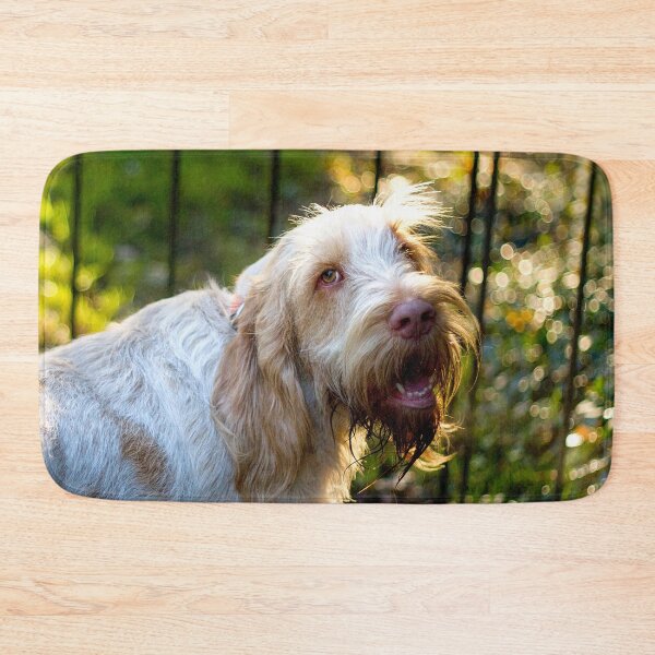 Artikelvorschau, Sonnenlicht auf Spinone entworfen und verkauft von FOLK ART FUSION by heidiannemorris.