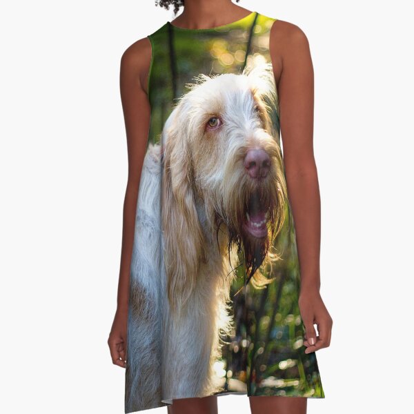 Sunlight on Spinone A-Line Dress