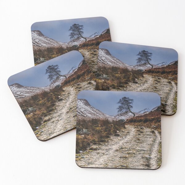 Item preview, Landscape Tree Coire Earb Scotland designed and sold by Stravaigin.