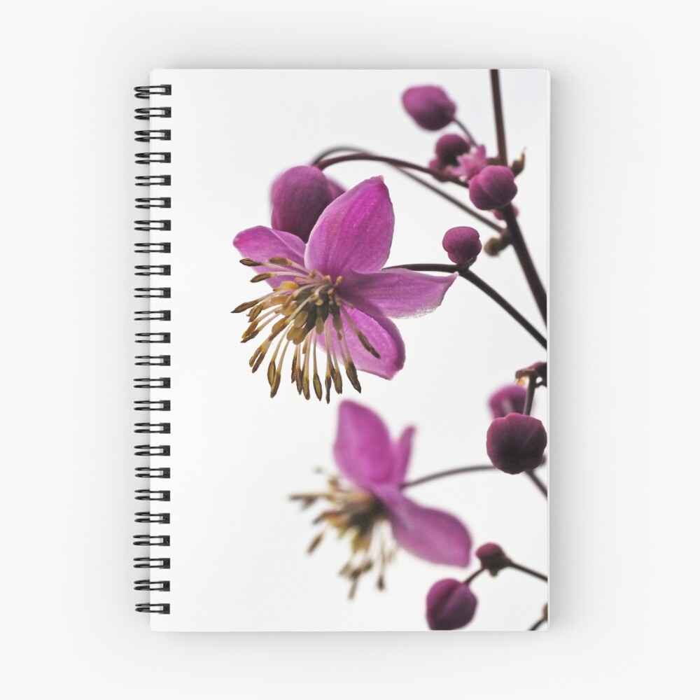 Vista previa del artículo con la obra «Cuaderno de espiral», diseñado y vendido por 1creativeminds.