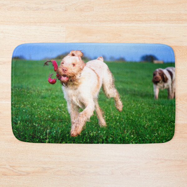 Item preview, Sausage thief Spinone designed and sold by FOLK ART FUSION.