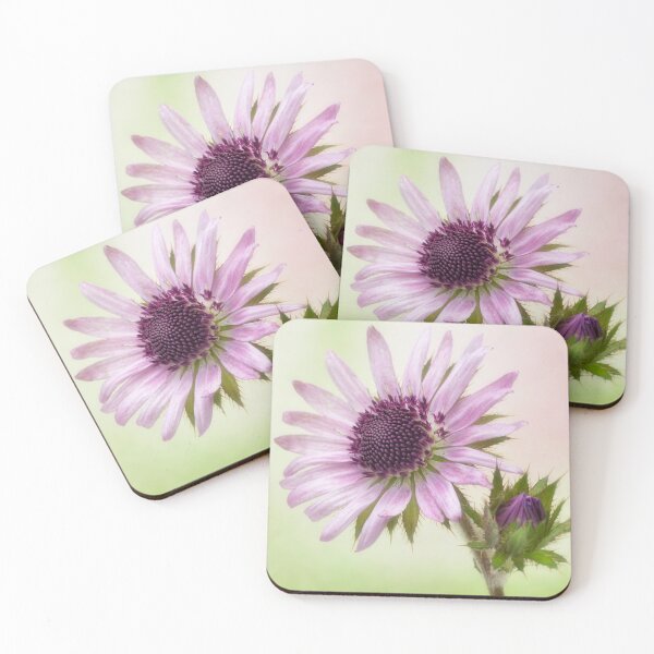 Item preview, Berkheya Purpurea. designed and sold by John Ray.