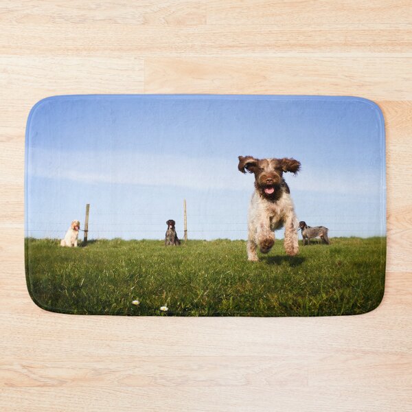 Item preview, Incoming Italian Spinone designed and sold by FOLK ART FUSION by heidiannemorris.
