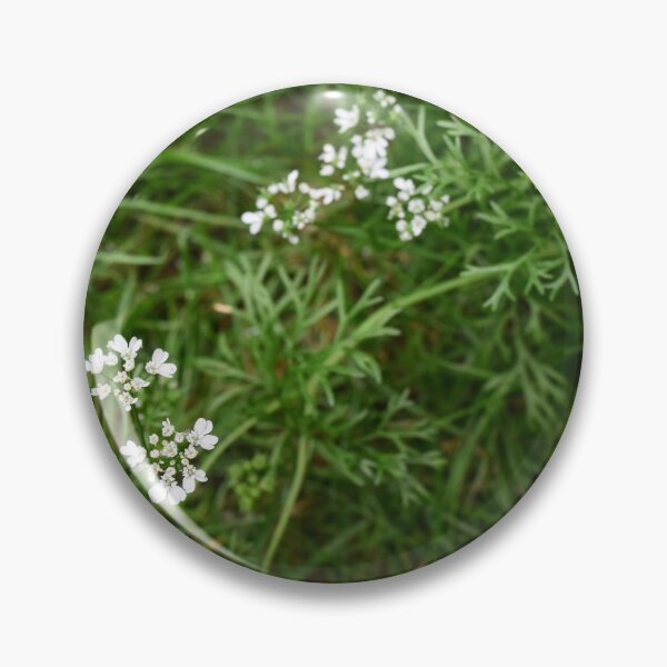 Artikelvorschau, Cilantro Flower entworfen und verkauft von Linnys-Designs.