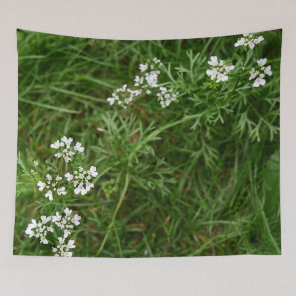 Artikelvorschau, Cilantro Flower entworfen und verkauft von Linnys-Designs.