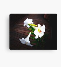 White Lilly Family Canvas Print