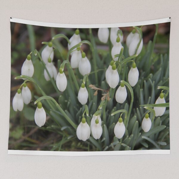 Item preview, White snowdrop spring flowers february designed and sold by EstelleRossetti.