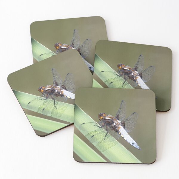 Item preview, Male Broad-bodied Chaser Dragonfly on a Reed designed and sold by MargaretClavell.