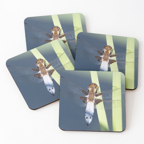 Item preview, Male Broad-bodied Chaser Dragonfly on a Reed designed and sold by MargaretClavell.