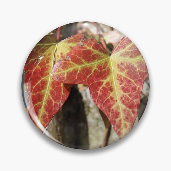Artikelvorschau, Rare red climber ivy in the forest entworfen und verkauft von EstelleRossetti.