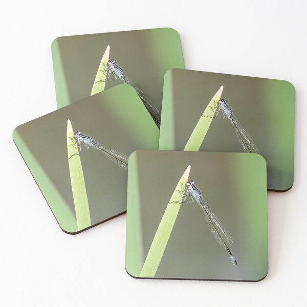 Item preview, Common Blue Damselfly Sitting on a Reed designed and sold by MargaretClavell.