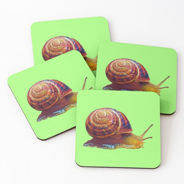 Item preview, Scrawling edible snail designed and sold by helenkaiy.
