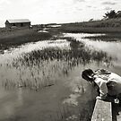 Liv's World by Amy E. McCormick