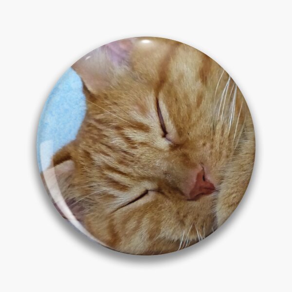Item preview, Sleeping Cat designed and sold by Frankie Cat Photography.