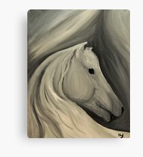 White Shadow Canvas Print