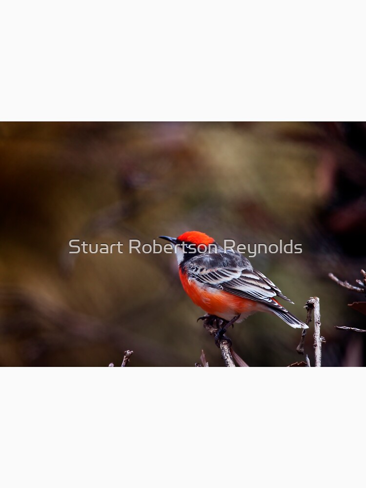Crimson Chat by Sparky2000