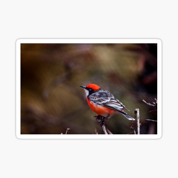 Crimson Chat Sticker