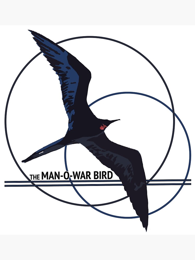 "The ManOWar Bird" Poster for Sale by erlehner Redbubble