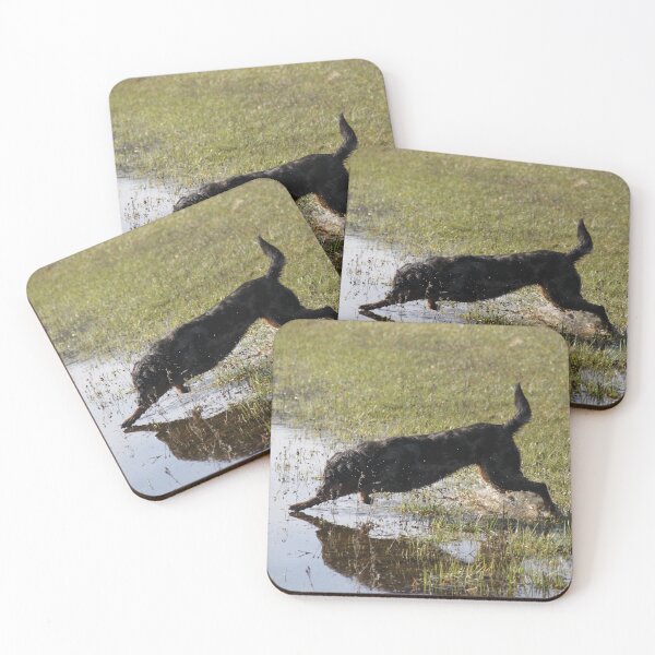 Item preview, Beauceron dog having fun in puddles in the meadow	 designed and sold by EstelleRossetti.