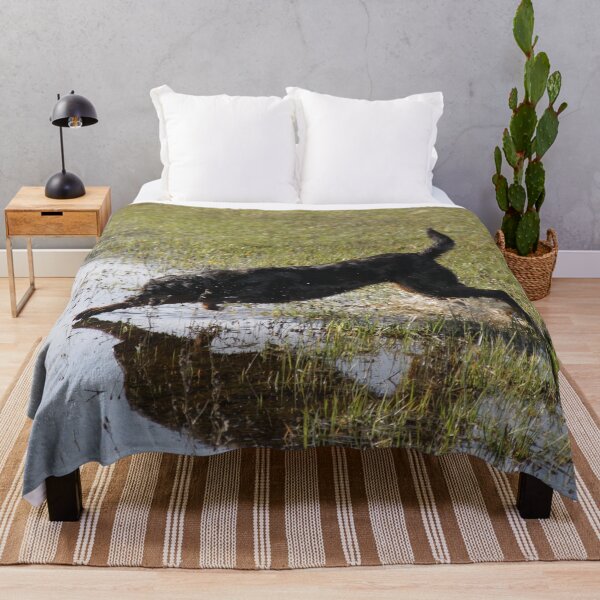 Item preview, Beauceron dog having fun in puddles in the meadow	 designed and sold by EstelleRossetti.