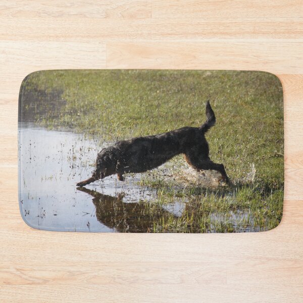 Item preview, Beauceron dog having fun in puddles in the meadow	 designed and sold by EstelleRossetti.