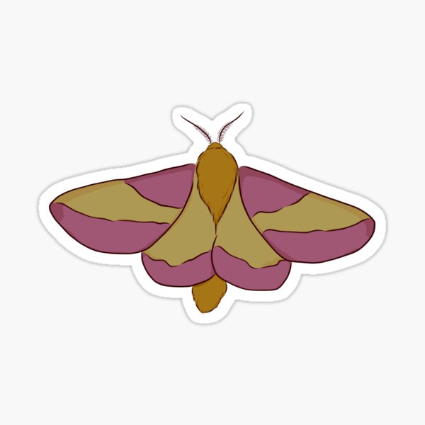 Ceanothus Moth Sticker — Andrea Dingeldein