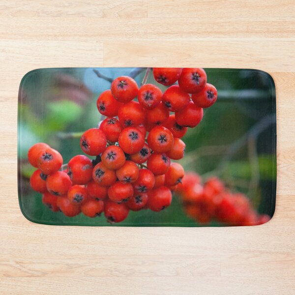 Item preview, Ashberry on dark green blurred background in the forest designed and sold by Maks08.