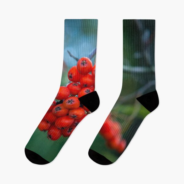 Item preview, Ashberry on dark green blurred background in the forest designed and sold by Maks08.