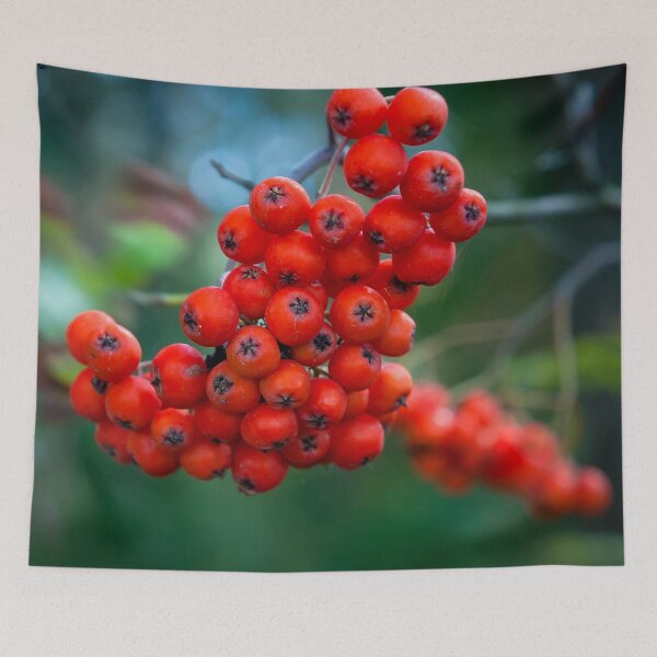 Item preview, Ashberry on dark green blurred background in the forest  designed and sold by Maks08.