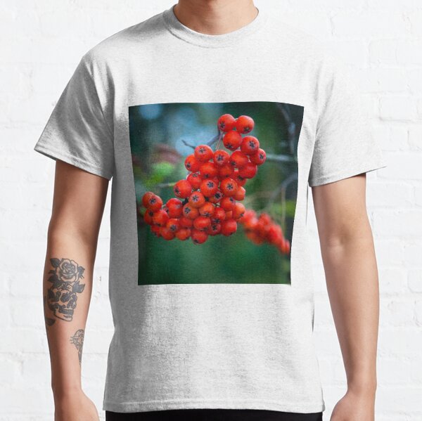 Ashberry on dark green blurred background in the forest Classic T-Shirt