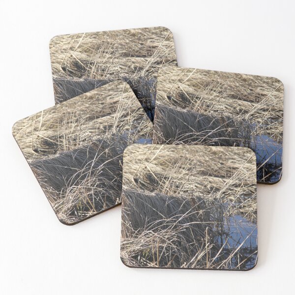 Item preview, Madine lake natural reeds landscape	 designed and sold by EstelleRossetti.
