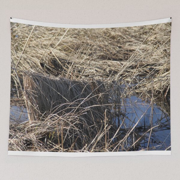 Item preview, Madine lake natural reeds landscape	 designed and sold by EstelleRossetti.