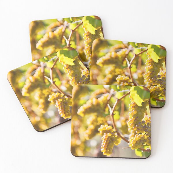 Item preview, Organic Ripe Chardonnay Grapes Okanagan Valley Vineyard designed and sold by Kevin Miller Photography.