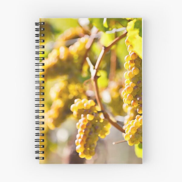 Item preview, Organic Ripe Chardonnay Grapes Okanagan Valley Vineyard designed and sold by Kevin Miller Photography.
